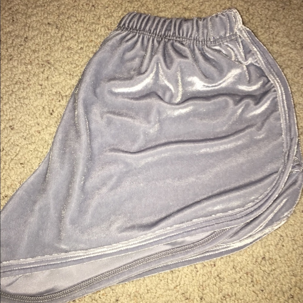 Blue Velvet Brandy Melville Shorts